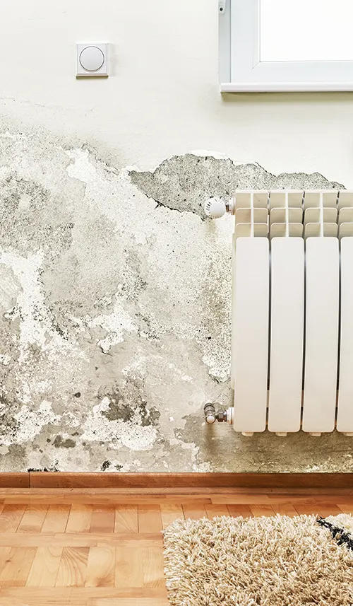 Humidity management barriers